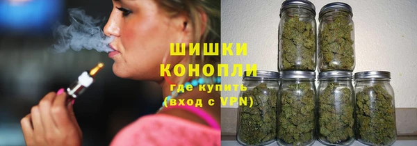 spice Осинники