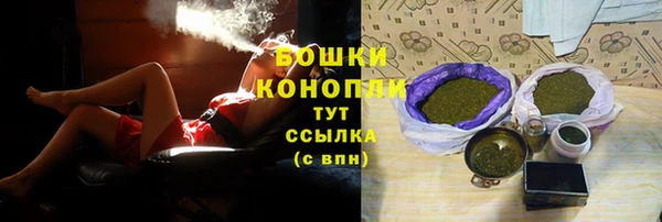 apvp Няндома