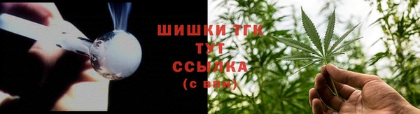 трава Гвардейск