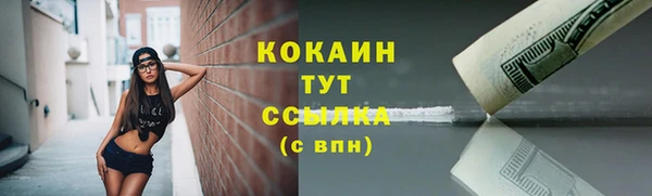 дурь Осташков