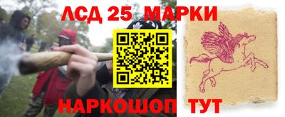 индика Донской