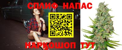 индика Донской