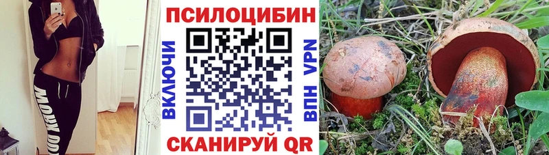 это какой сайт  Магадан  Псилоцибиновые грибы мухоморы 