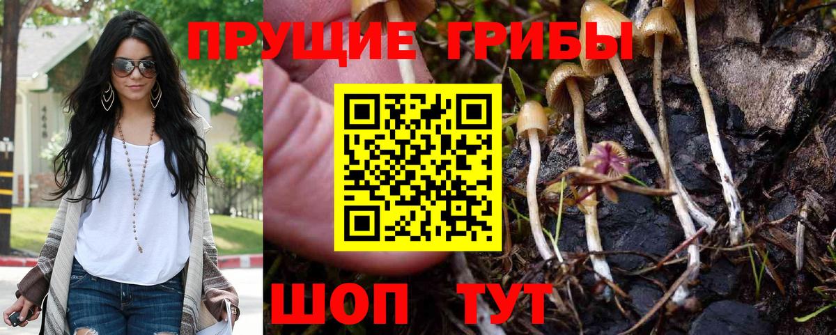 Псилоцибиновые грибы Cubensis Магадан